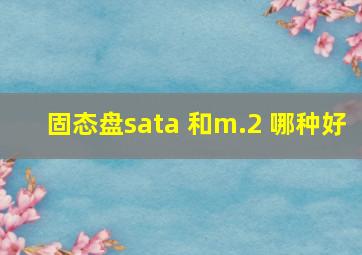 固态盘sata 和m.2 哪种好